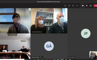 Ciguarisk 2nd meeting