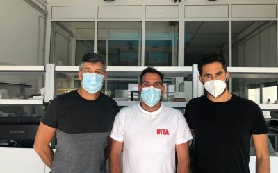 First Temporal Study in Gran Canaria and Majorca