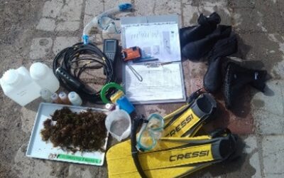 First sampling campaings in islands on the Mediterranean close to the Iberian Peninsula